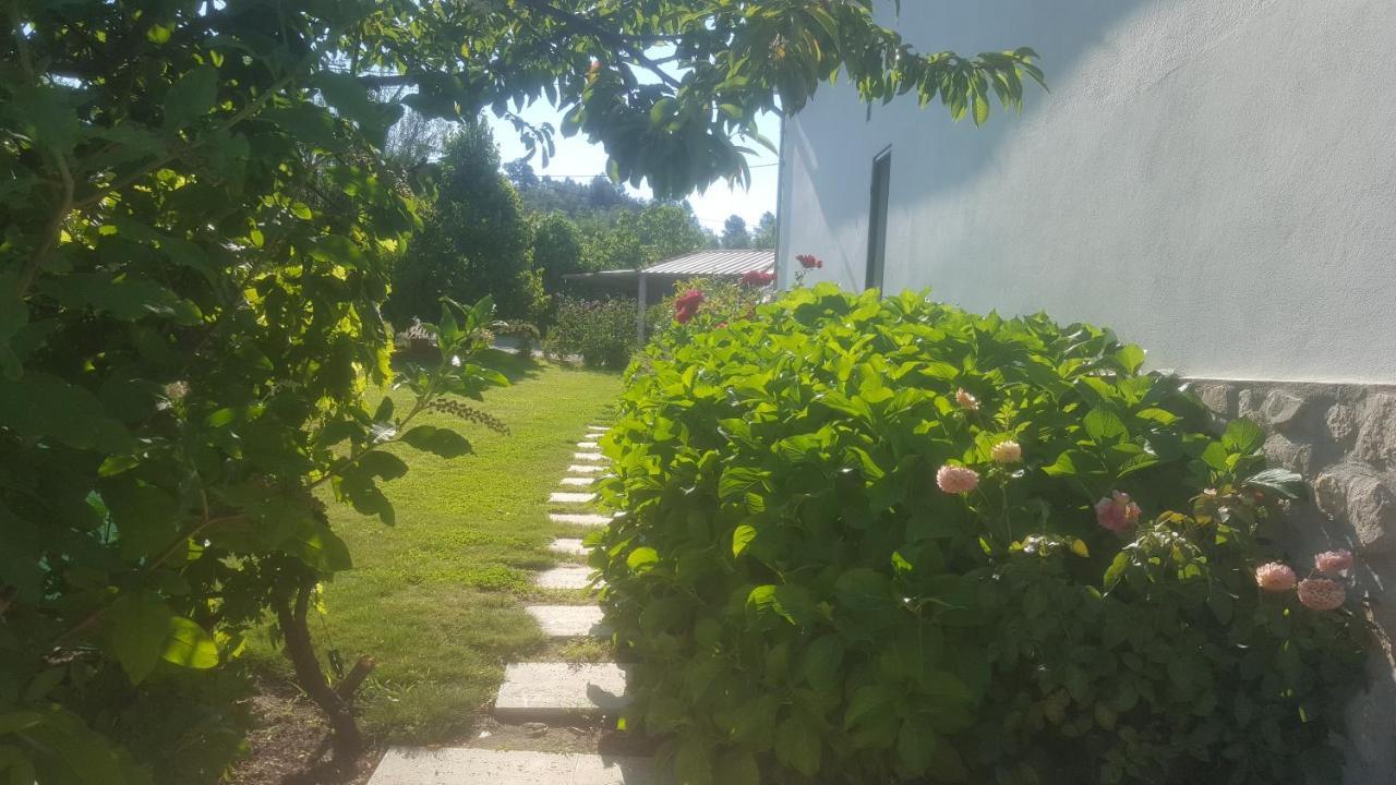 Quinta Do Serrado De Belmonte Belmonte  Exterior photo